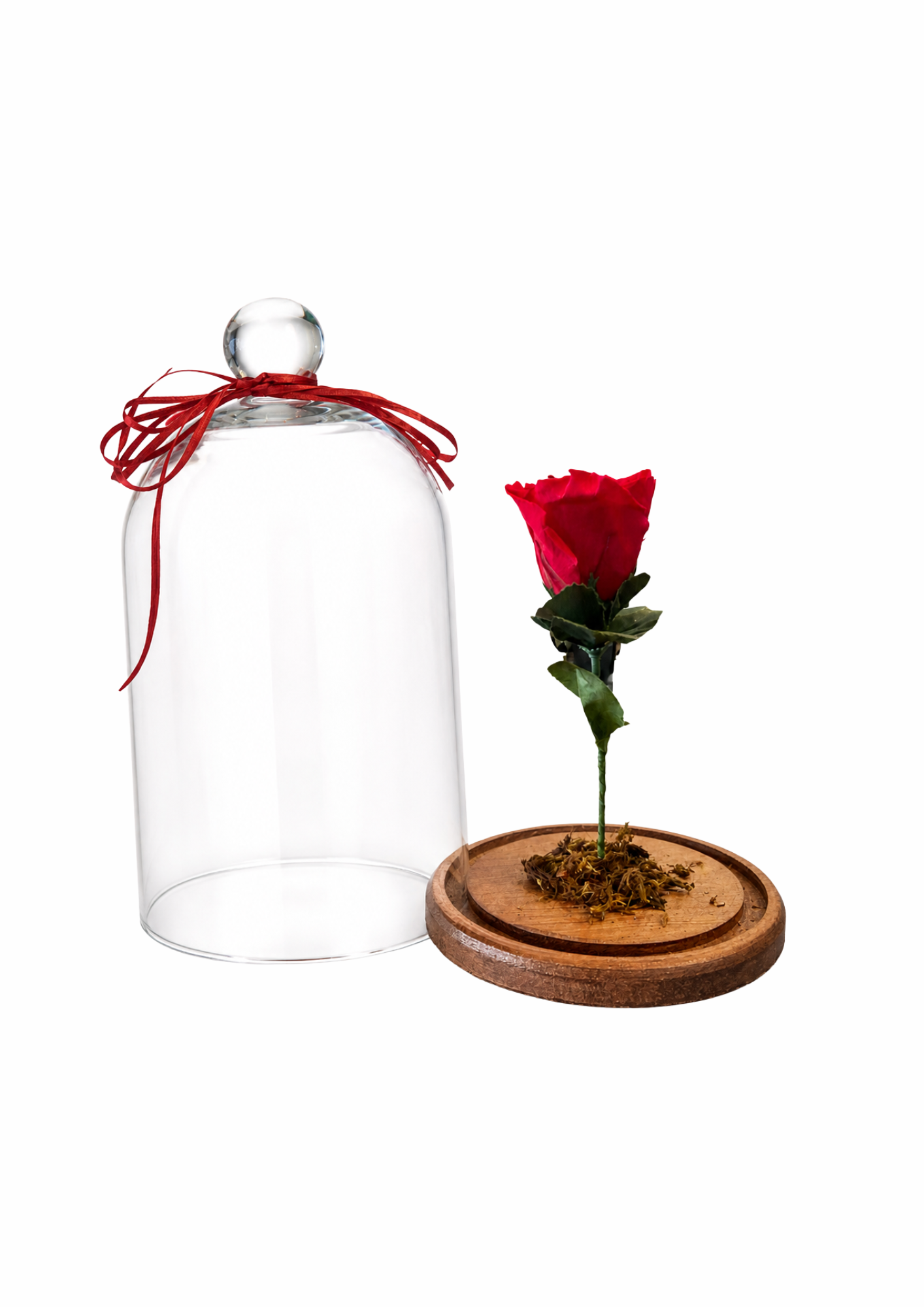 ROSA ENCANTADA