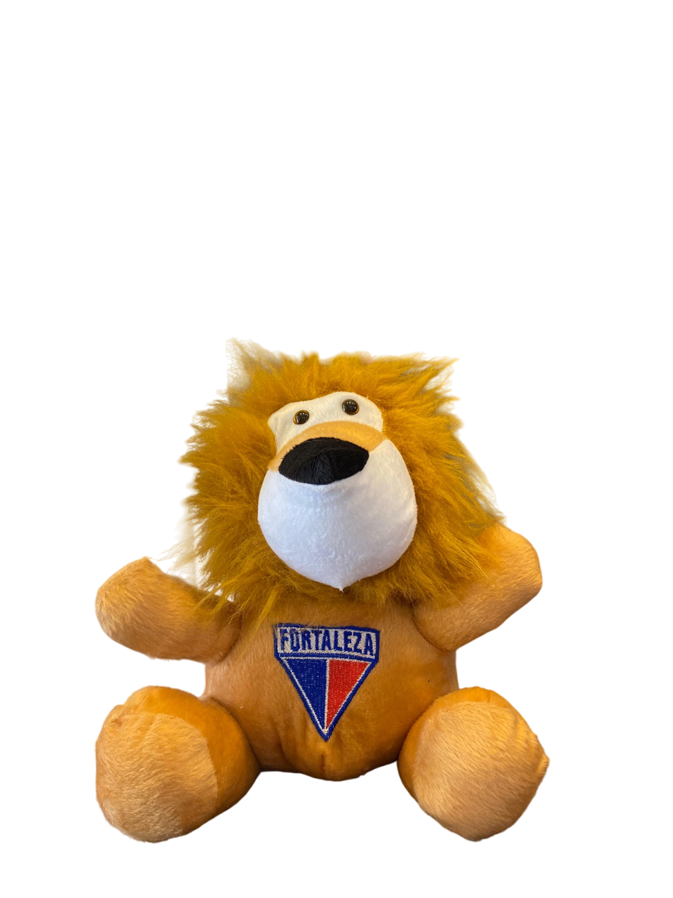 PEL�CIA LE�O FORTALEZA