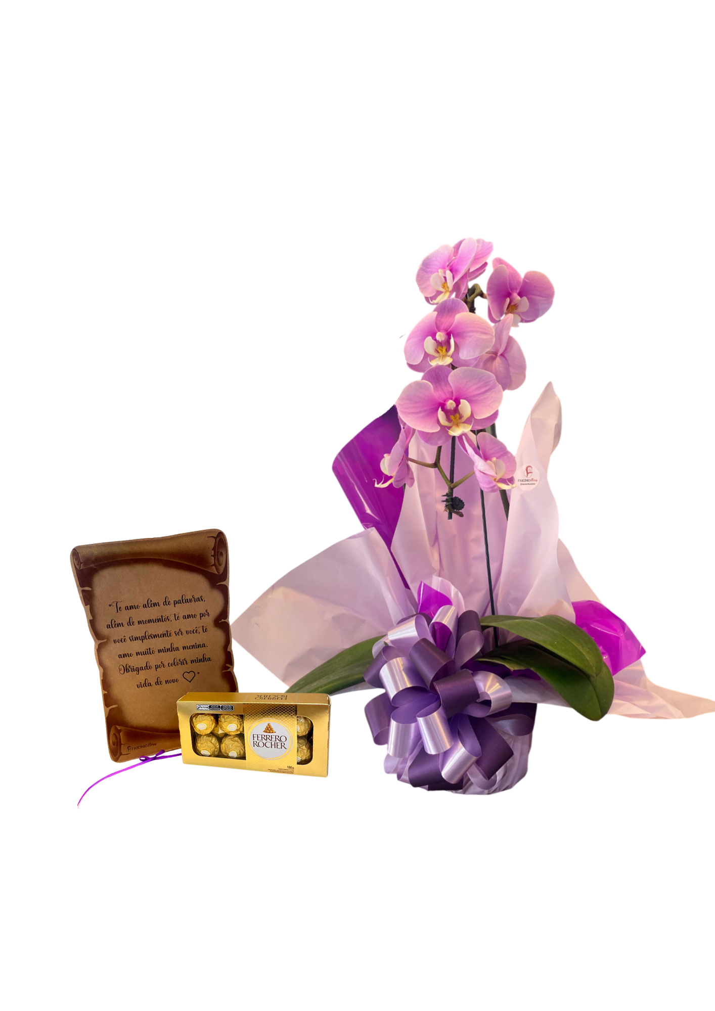 KIT LOUCOS POR ORQU�DEAS