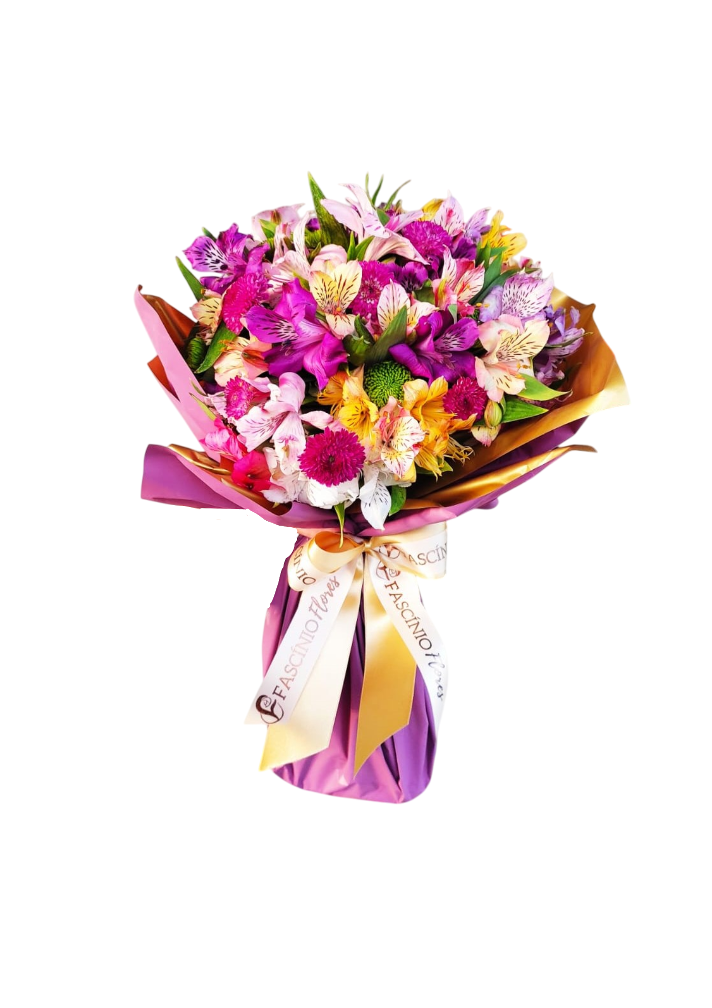 RAMO DE ASTROM�LIAS