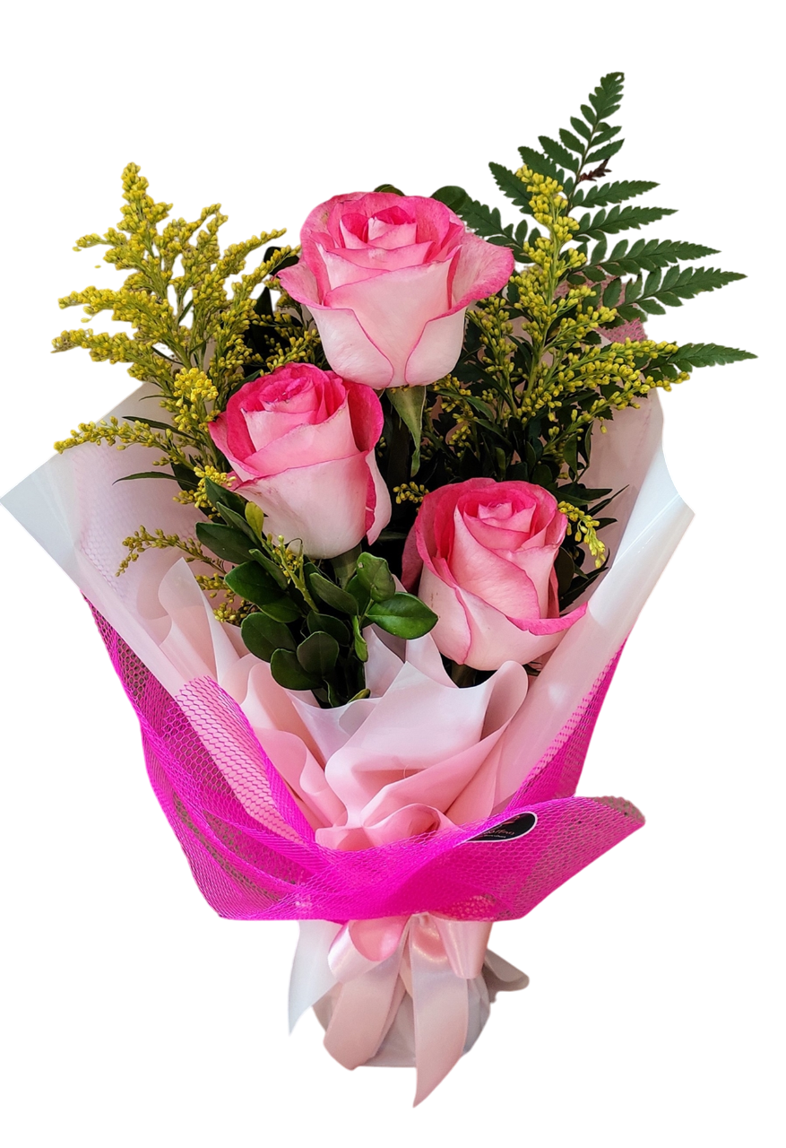 PETECA 03 ROSAS TONS ROSA