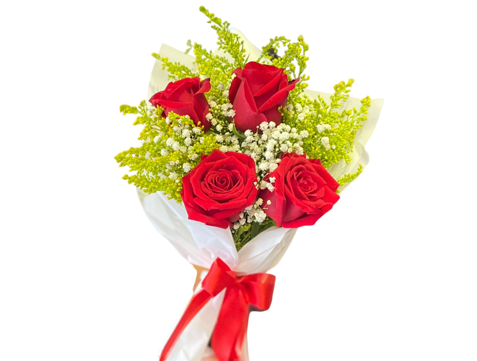 Fascinantes Rosas Vermelhas